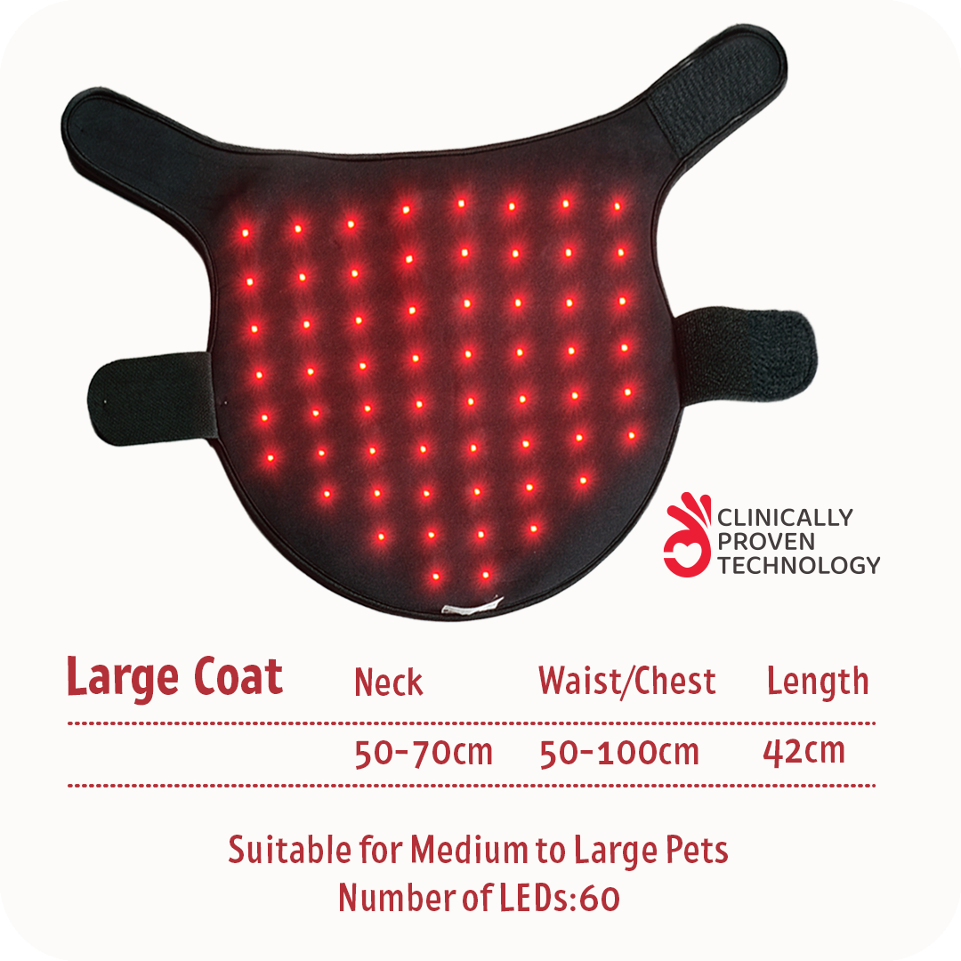 SMALL COAT