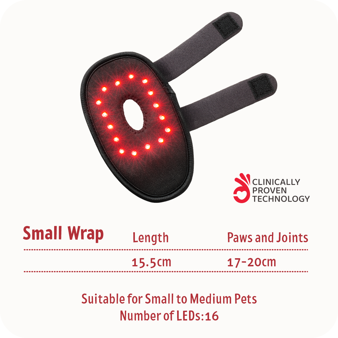 SMALL WRAP