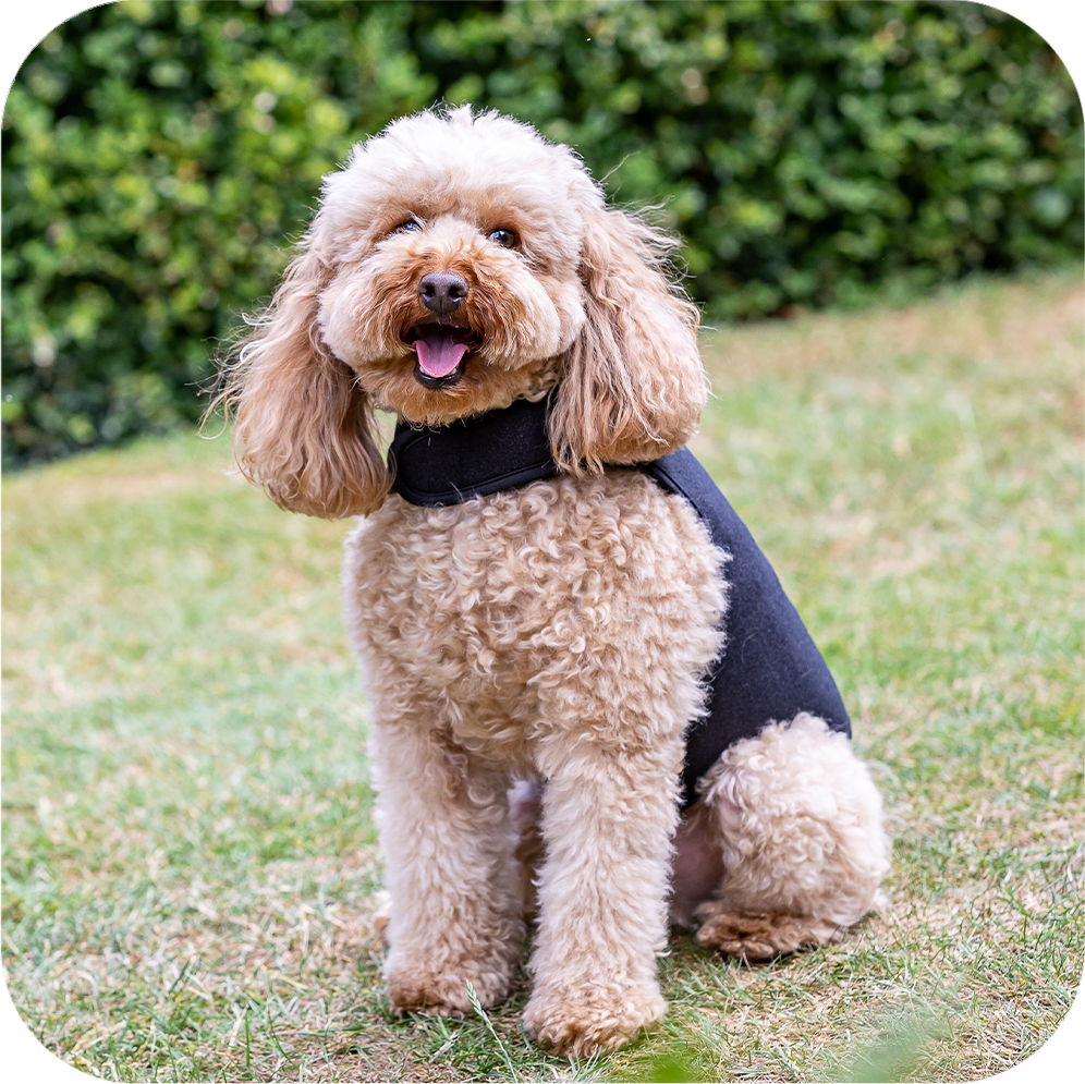 SMALL COAT