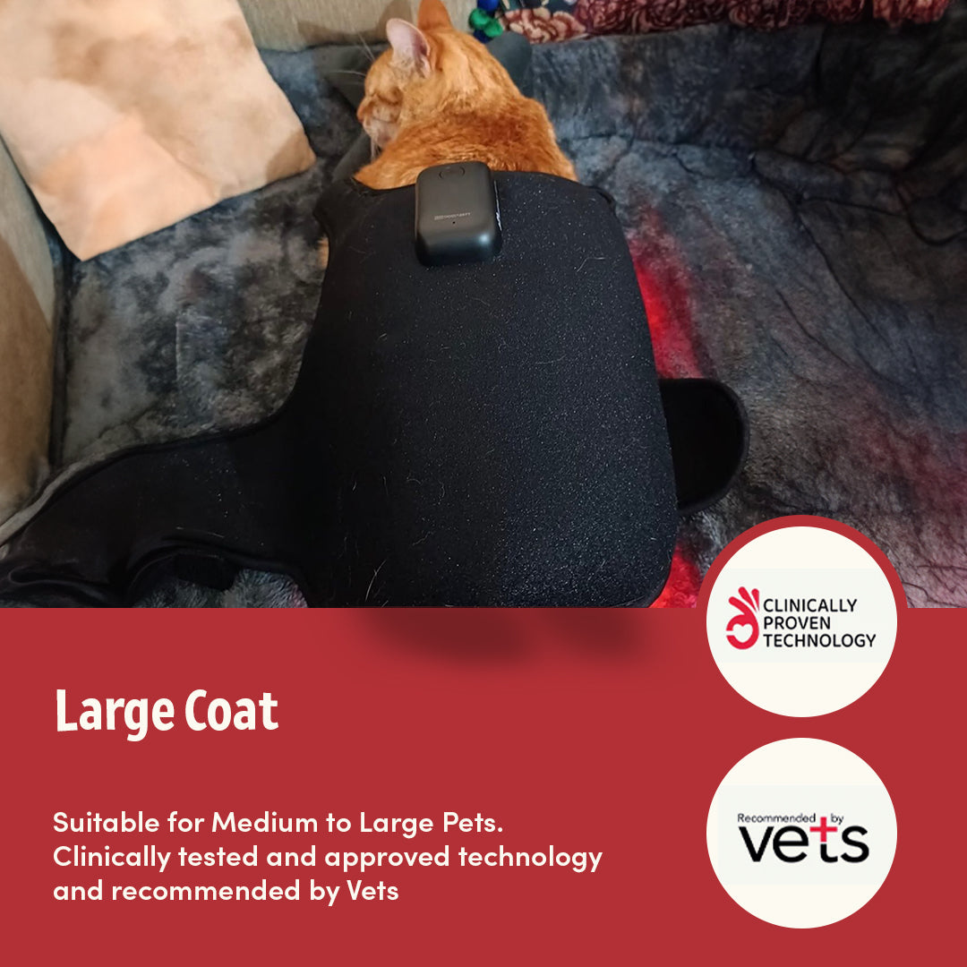 LARGE COAT