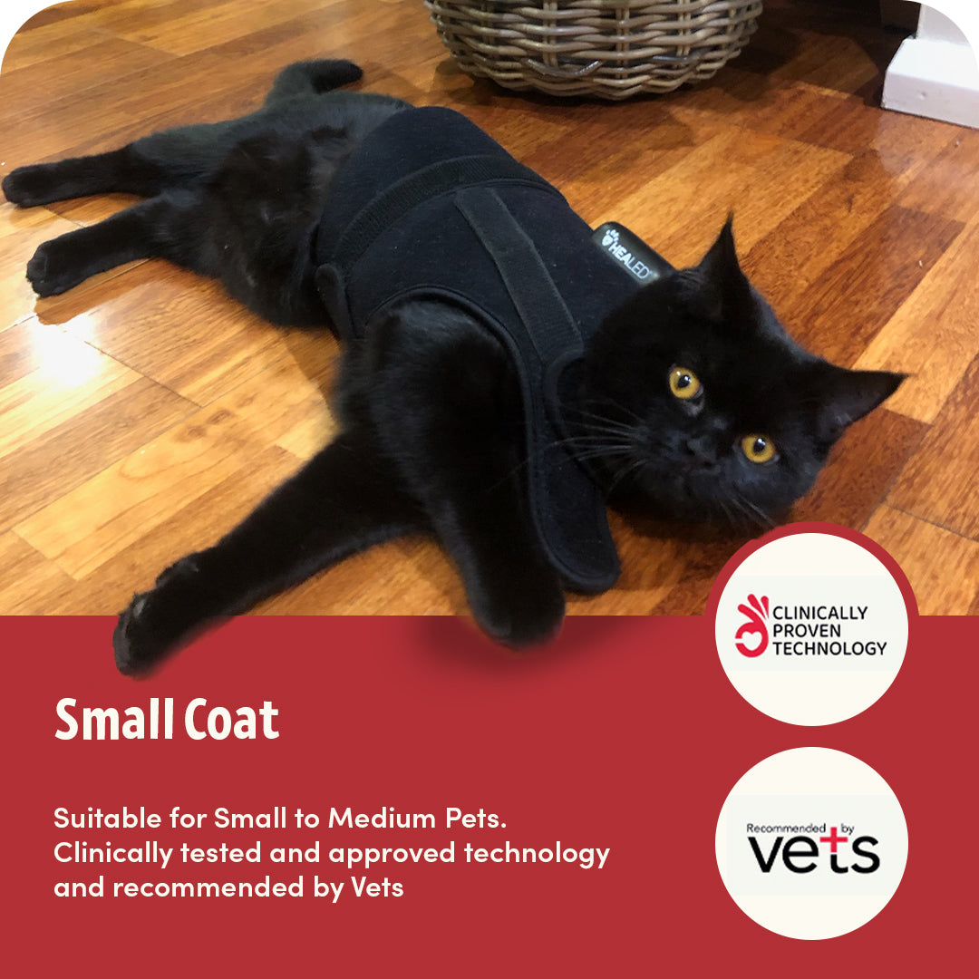 SMALL COAT