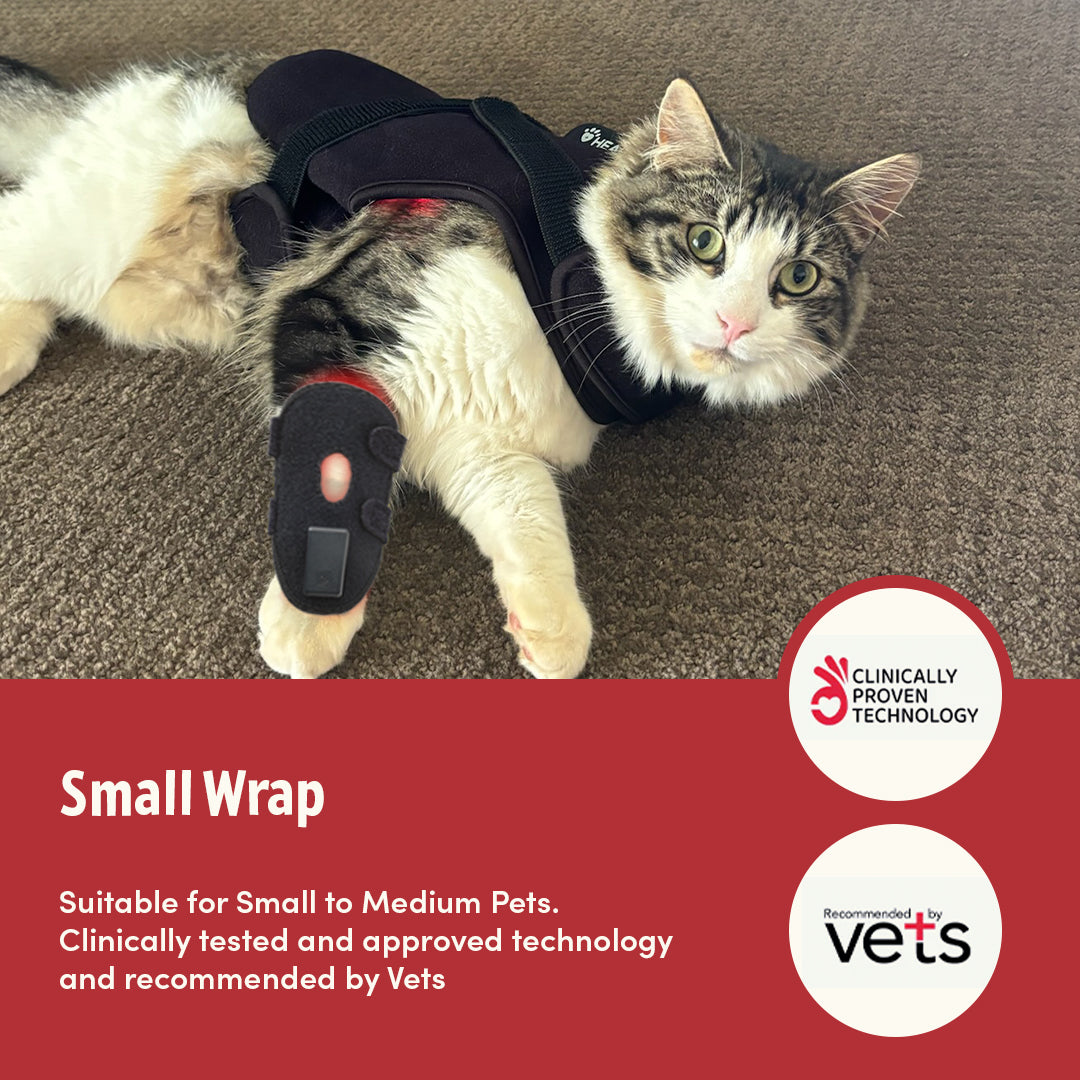 SMALL WRAP