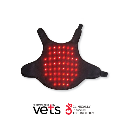 SMALL Red Light Therapy Coat
