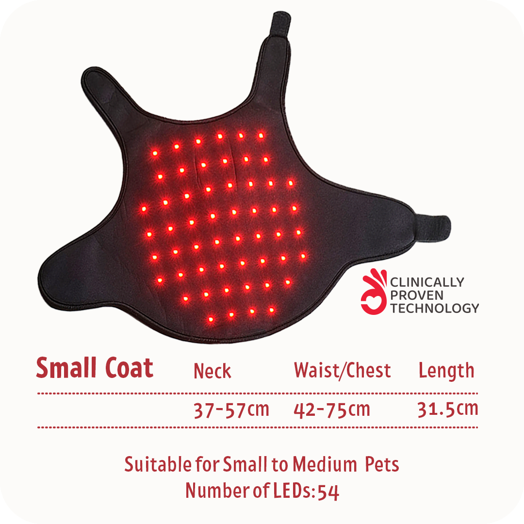 SMALL COAT
