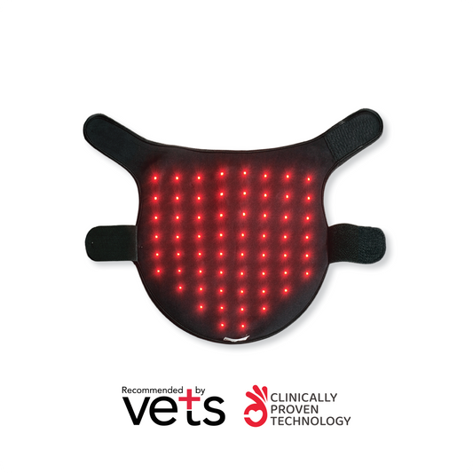 LARGE Red Light Therapy Coat