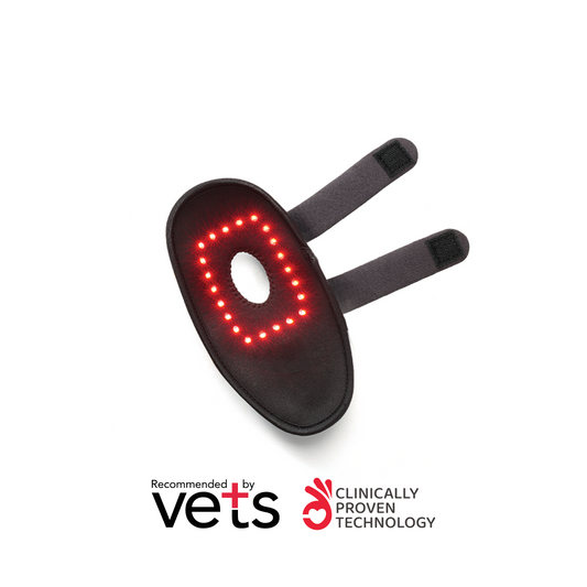 LARGE Red Light Therapy Leg Wrap