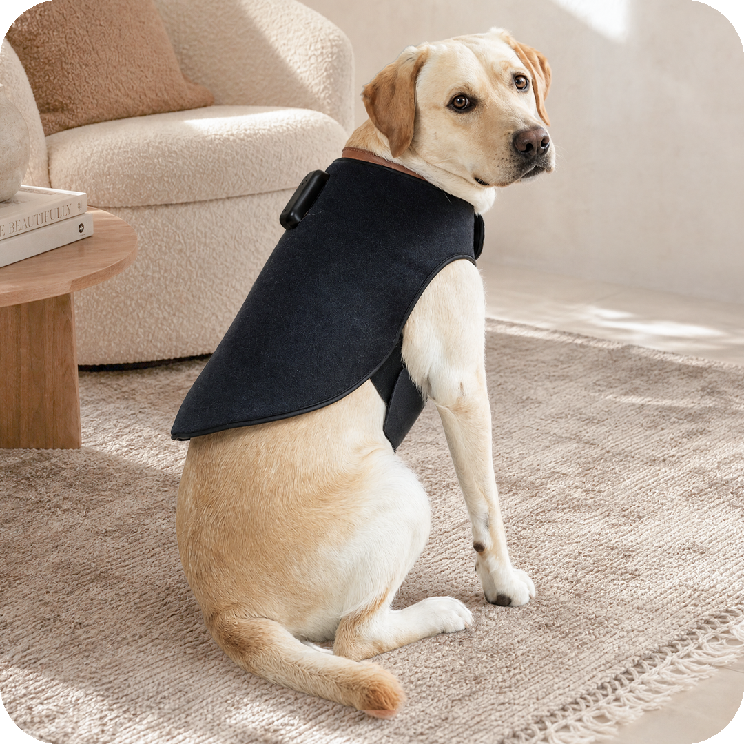 LARGE COAT