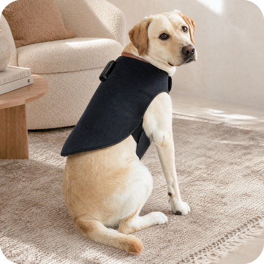 LARGE COAT
